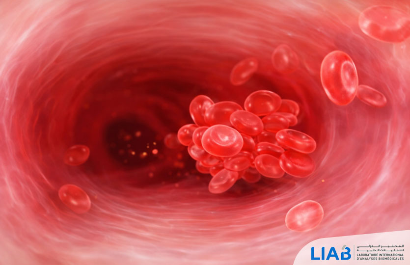 facteur V-laboratoire-Casablanca-labo-analyse-medical