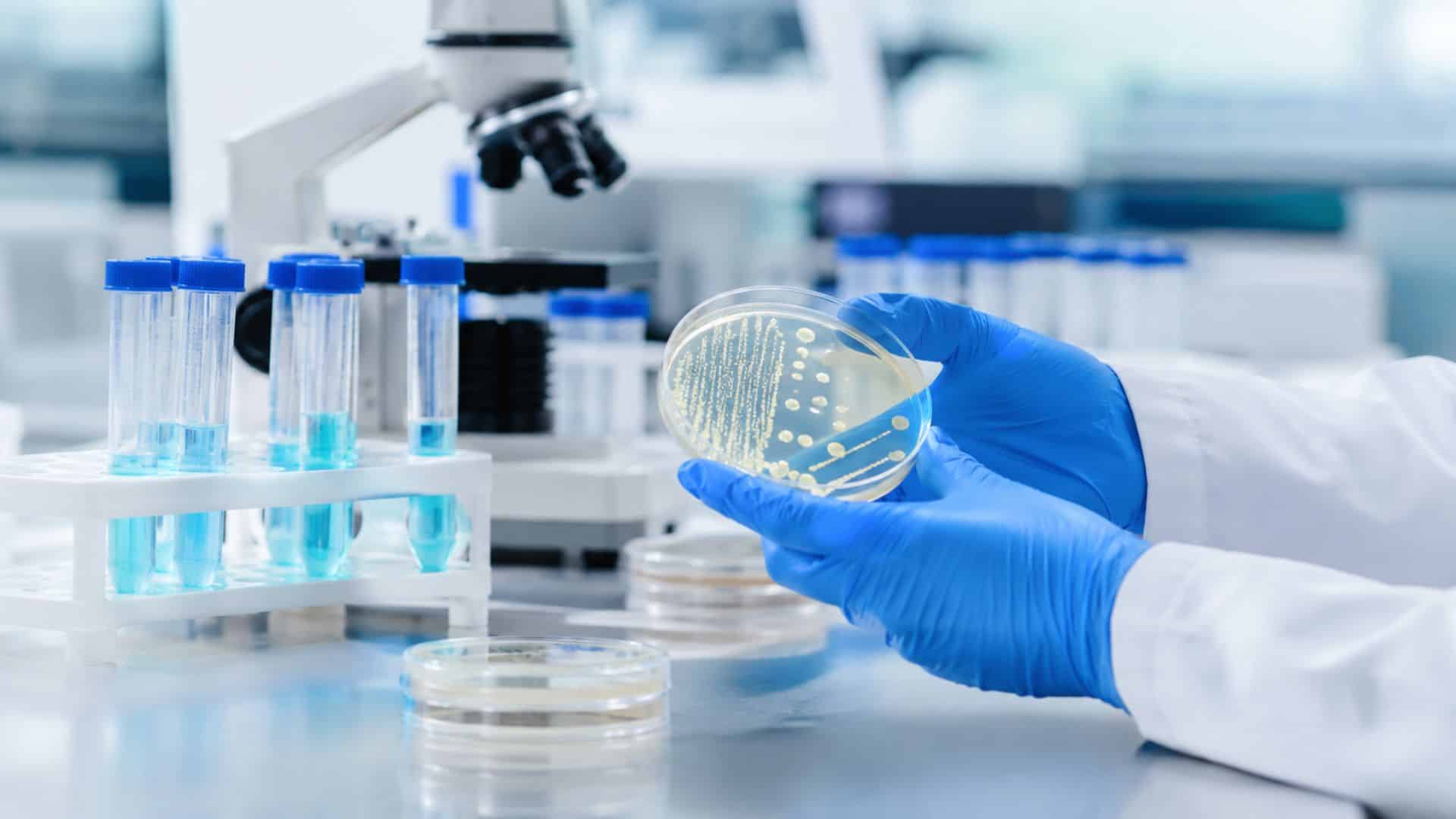 dépistage infections Casablanca | LIAB
