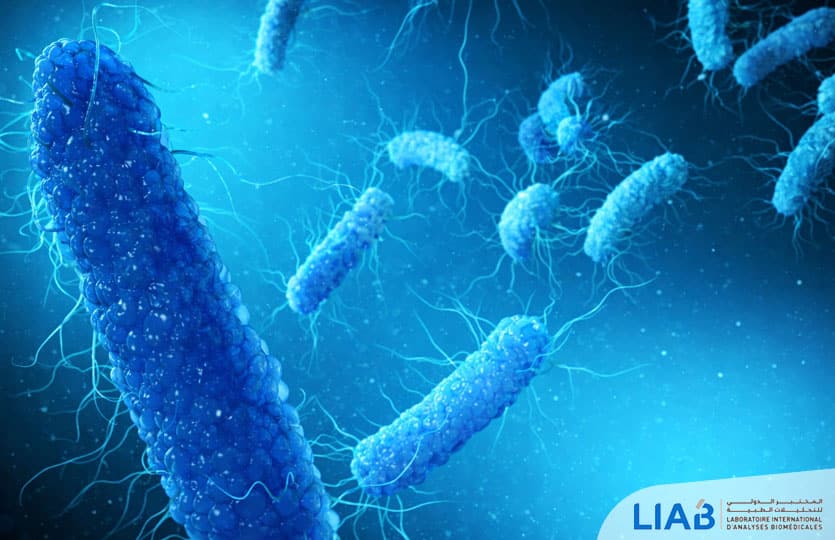 Test Clostridium difficile : le LIAB recherche les toxines A et B impliquées dans certaines diarrhées associées à la prise d’antibiotiques.