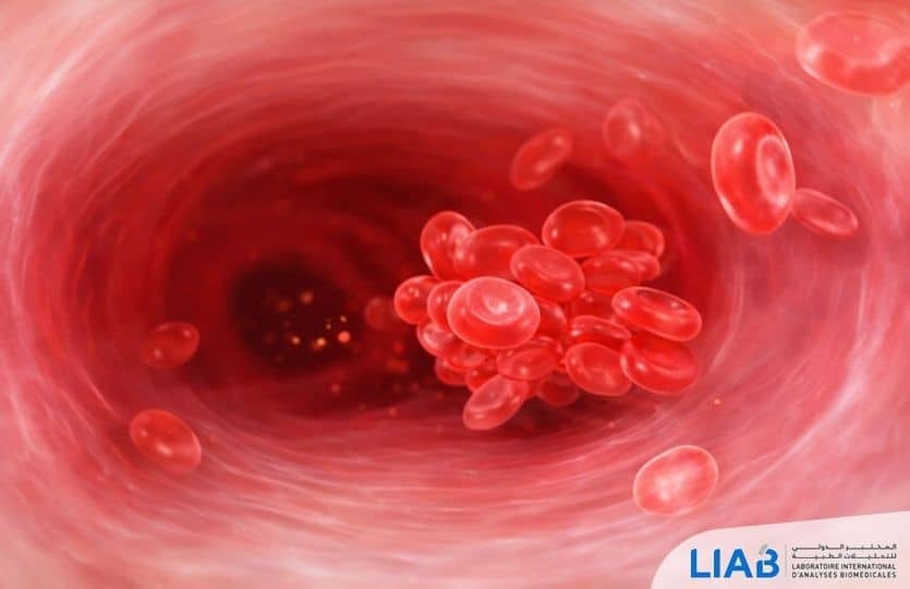 Analyse facteur V : découvrez son rôle dans la coagulation, les risques liés à un déficit et les examens sanguins réalisés au LIAB à Casablanca.