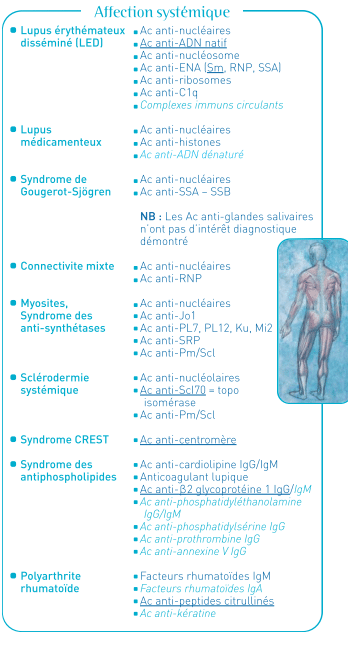 analyse des auto-anticorps | LIAB